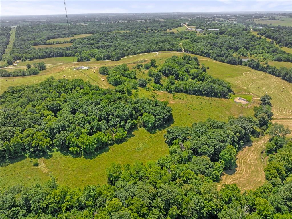 81-ac Mt Hebron Road Odessa, MO 64076 - Photo 25 of 25
