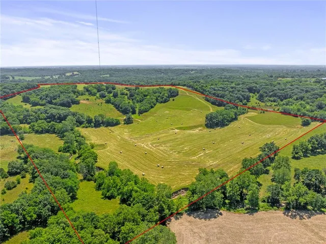 $750,000 | 81-ac Mt Hebron Road, Odessa, MO 64076