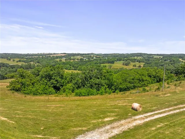 $750,000 | 81-ac Mt Hebron Road, Odessa, MO 64076