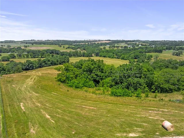 $750,000 | 81-ac Mt Hebron Road, Odessa, MO 64076