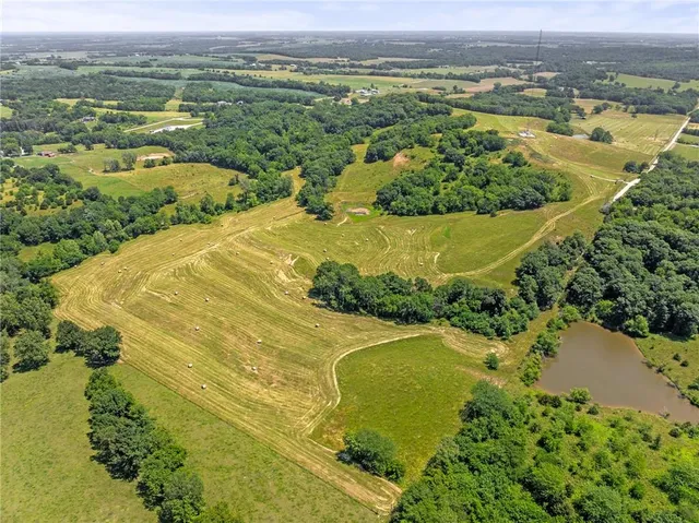 $750,000 | 81-ac Mt Hebron Road, Odessa, MO 64076