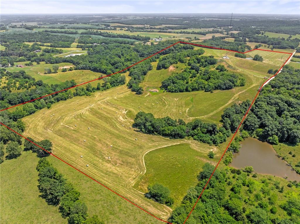 81-ac Mt Hebron Road Odessa, MO 64076 - Photo 10 of 25
