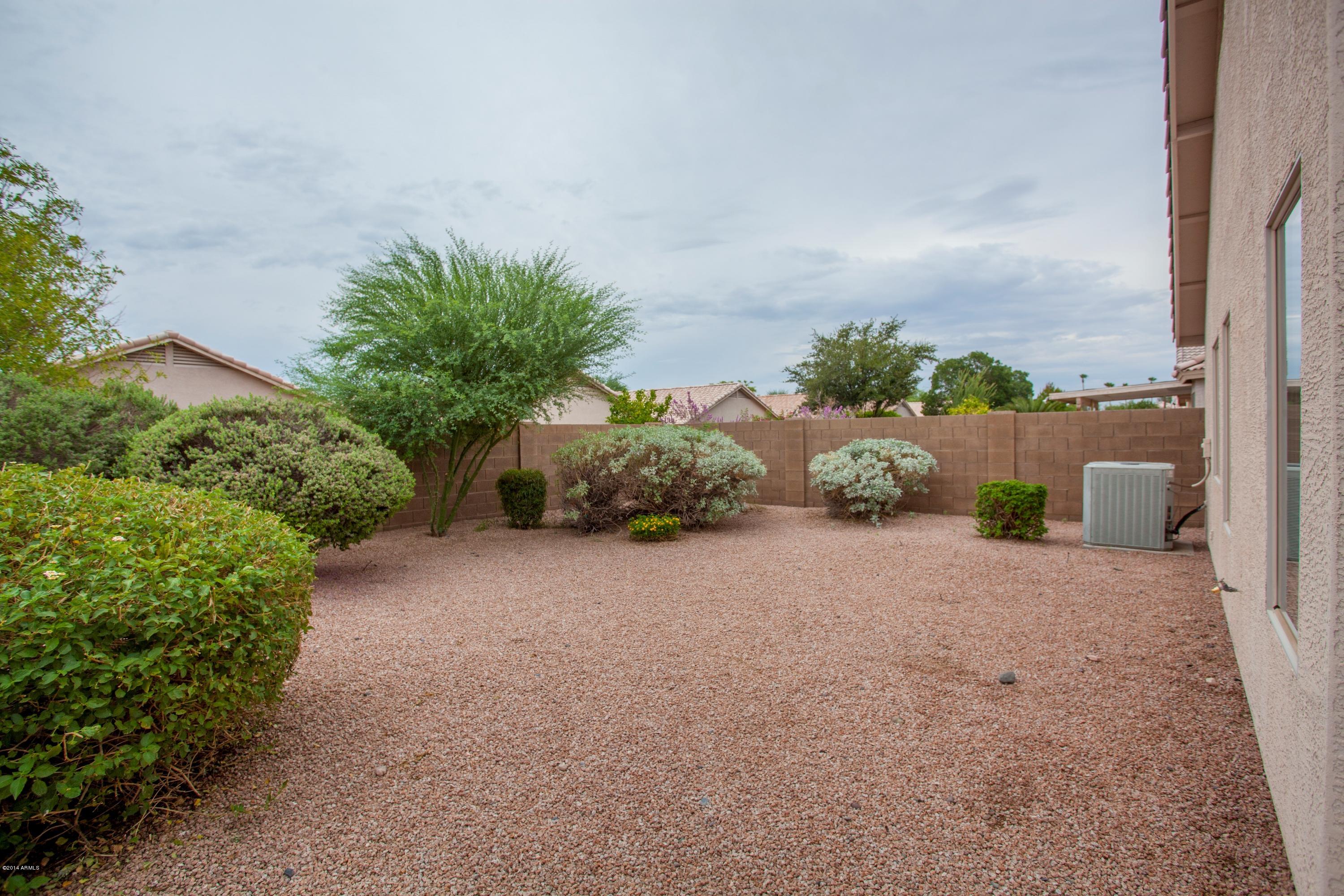 517 West St John Road Phoenix, AZ 85023 - Photo 14 of 15 Back yard