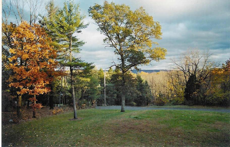 436 Ridge Road Stroudsburg, PA 18360 - Photo 28 of 29 View