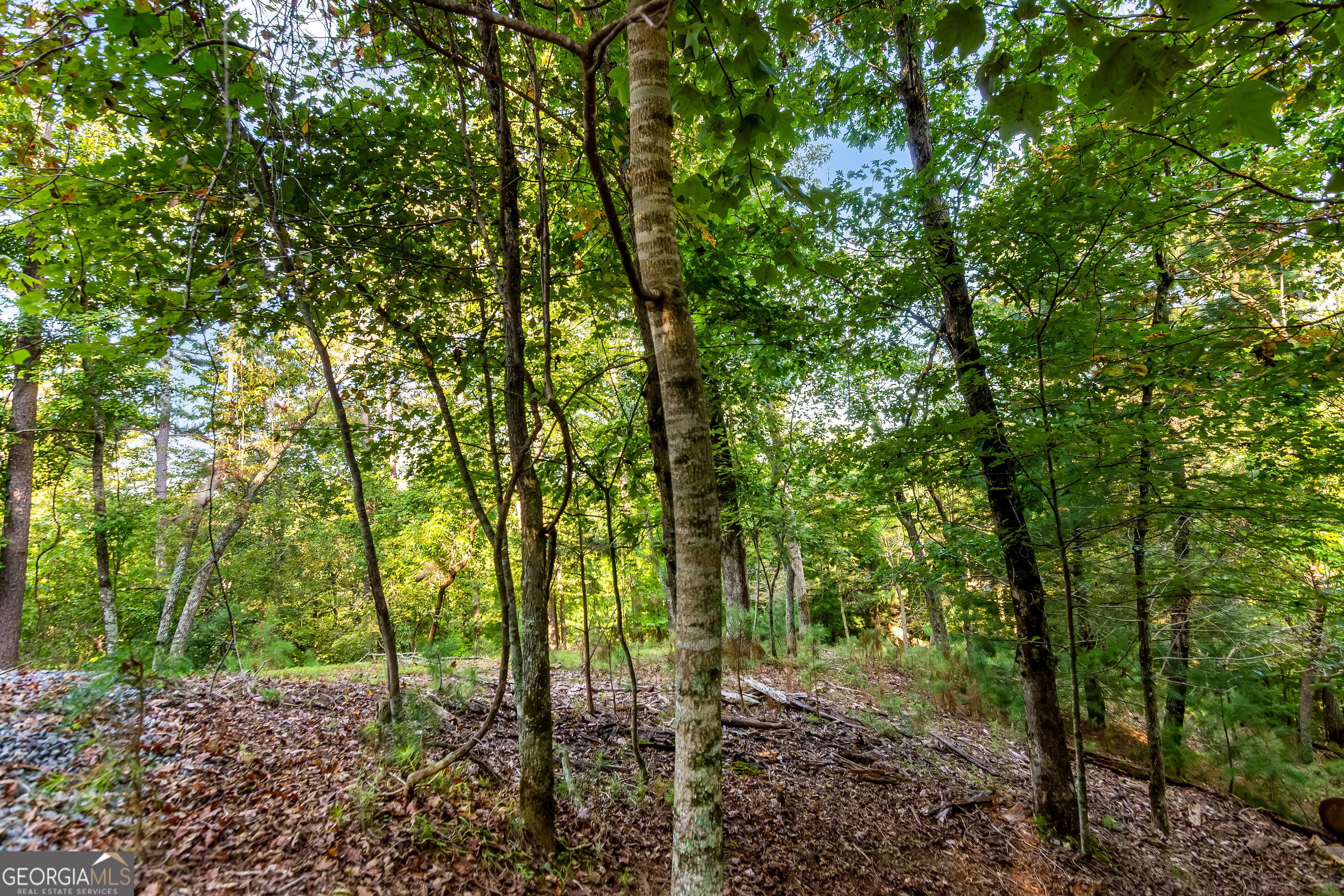 2076 R Parody Circle Ellijay, GA 30540 - Photo 1 of 1 Gallery Image 1