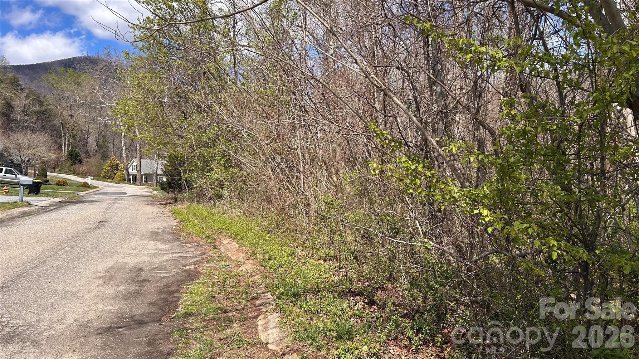 0 Lynnbrook Way Columbus, NC 28722 - Photo 2 of 9 a view of a yard with a tree