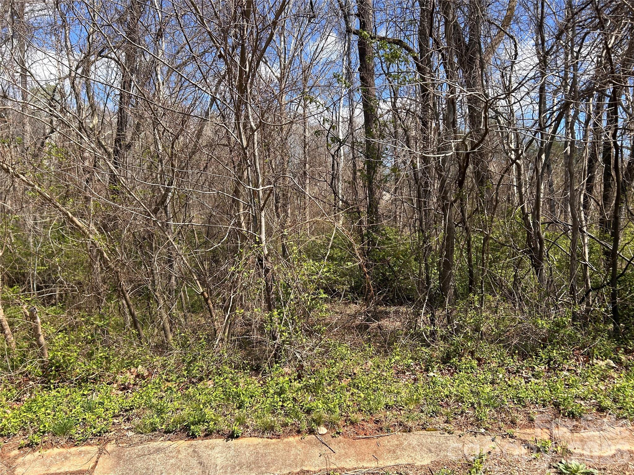 0 Lynnbrook Way Columbus, NC 28722 - Photo 4 of 9 a view of a yard with wooden fence