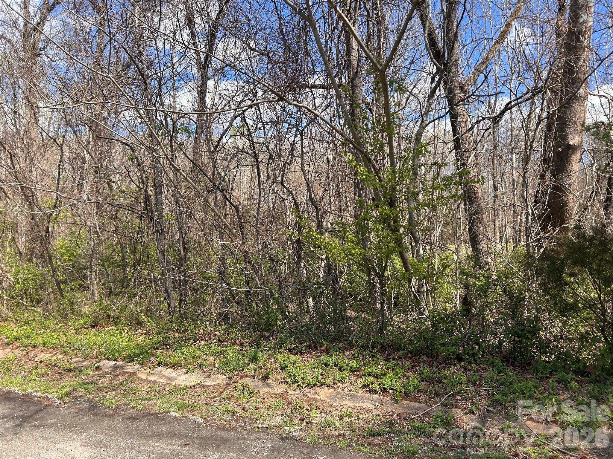 0 Lynnbrook Way Columbus, NC 28722 - Photo 5 of 9 a view of a yard with large trees
