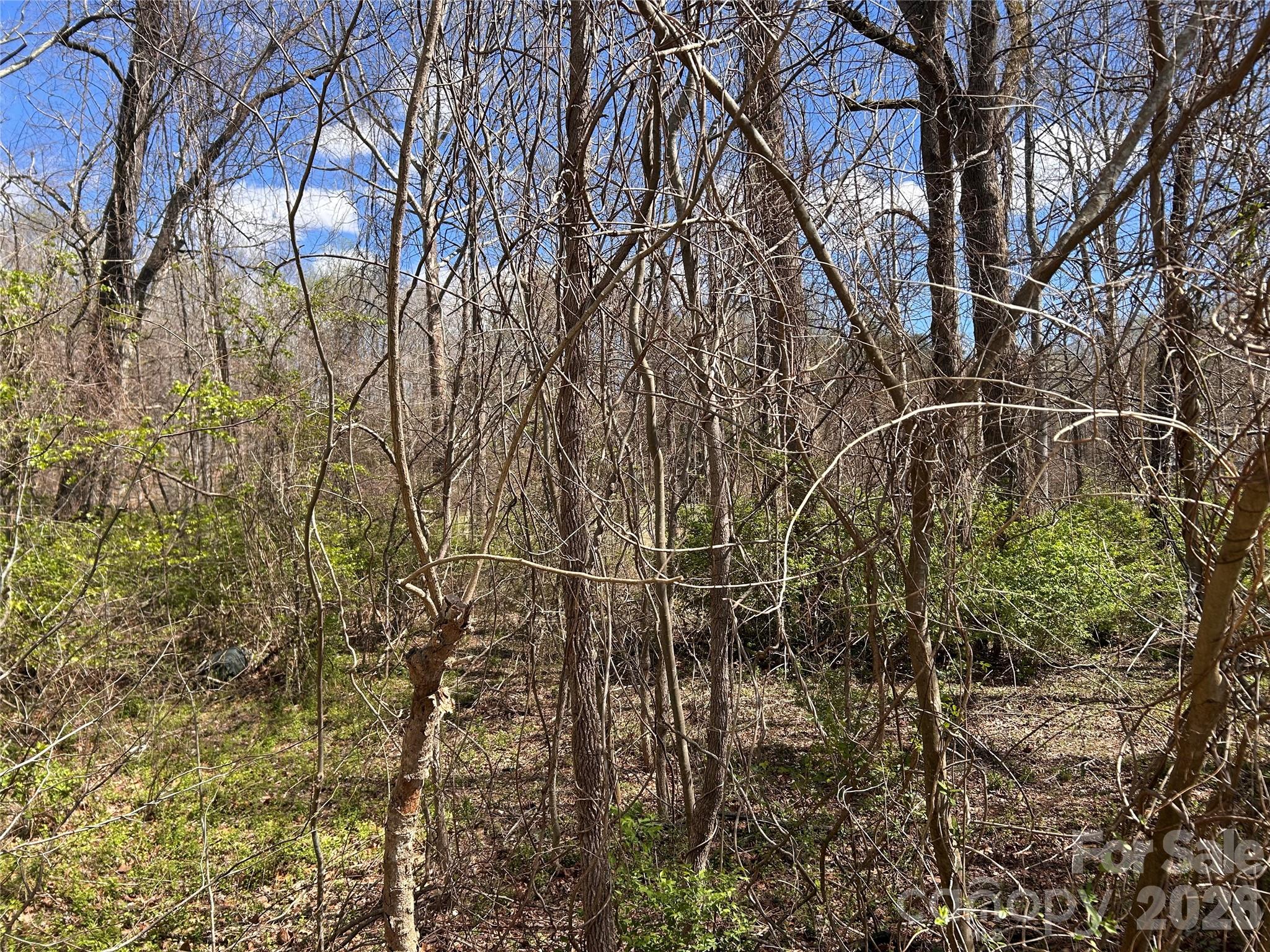0 Lynnbrook Way Columbus, NC 28722 - Photo 6 of 9