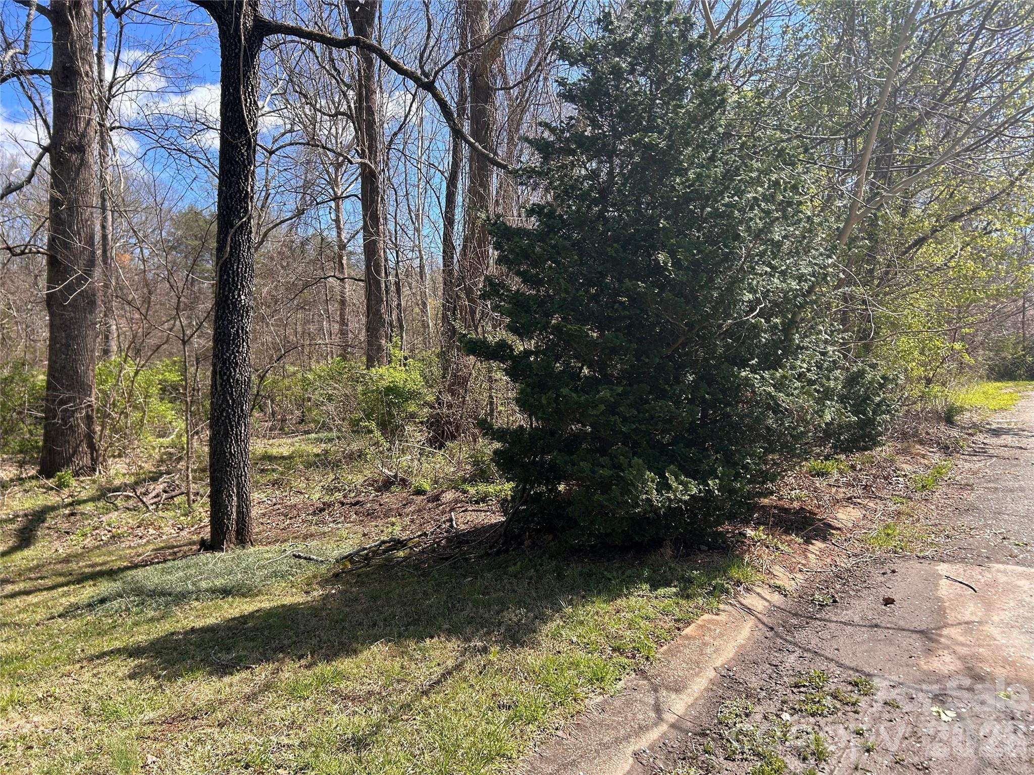 0 Lynnbrook Way Columbus, NC 28722 - Photo 7 of 9 a view of a yard with trees