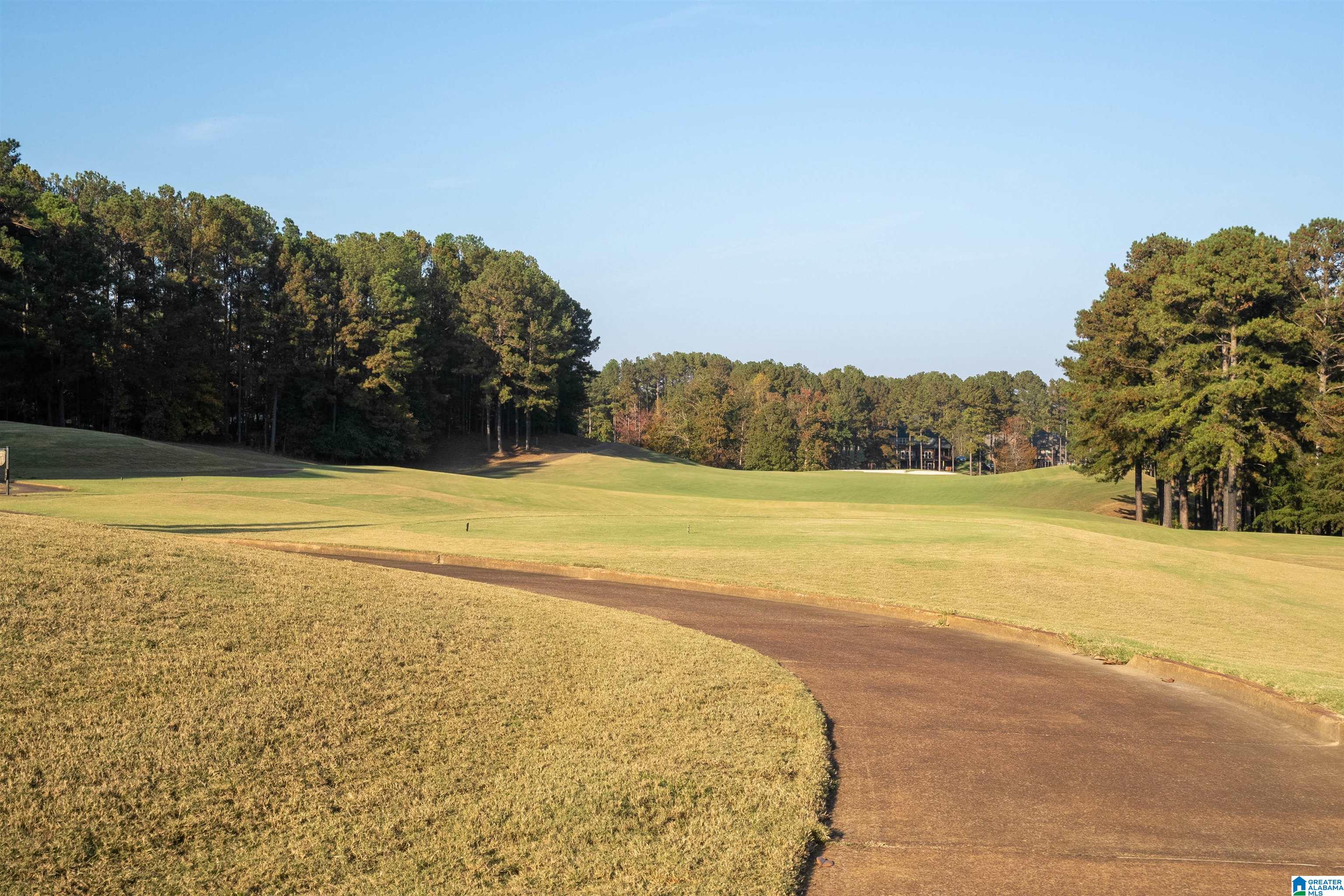313 Macallan Drive Pelham, AL 35124 - Photo 56 of 57