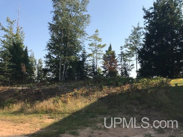 7620 30.5 Road Rapid River, MI 49878 - Photo 28 of 36