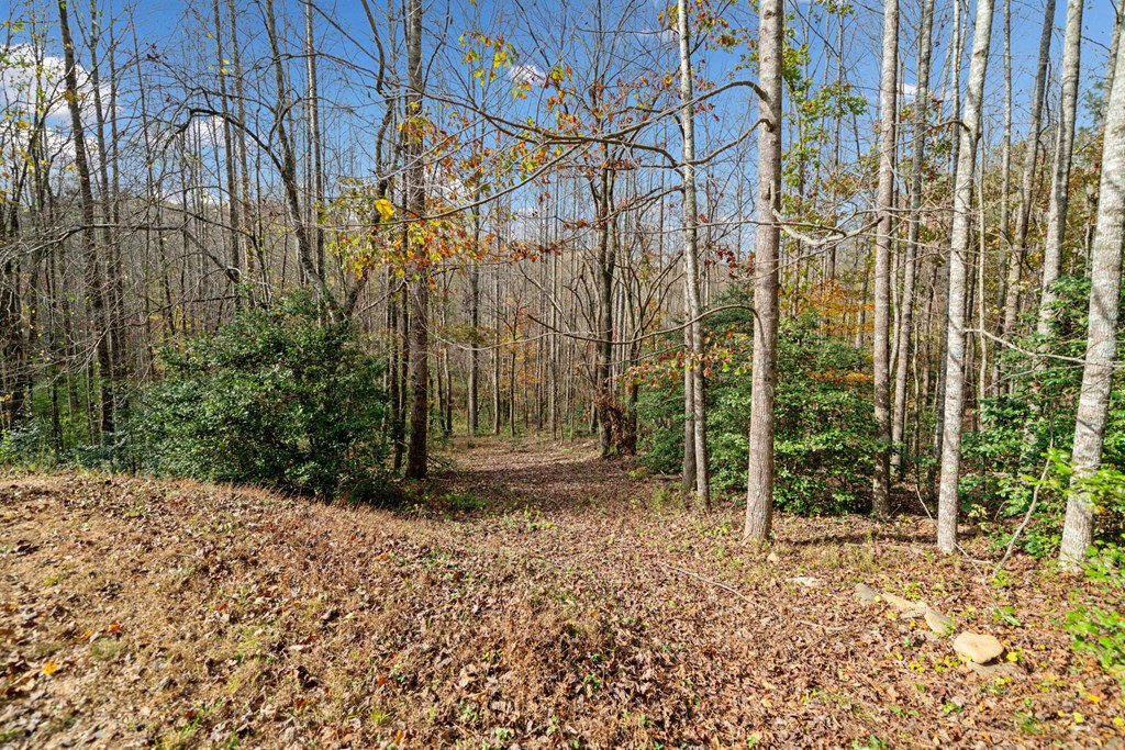 Lot 7 Highpoint Ridge Road Ellijay, GA 30536 - Photo 5 of 25 Gallery Image 5
