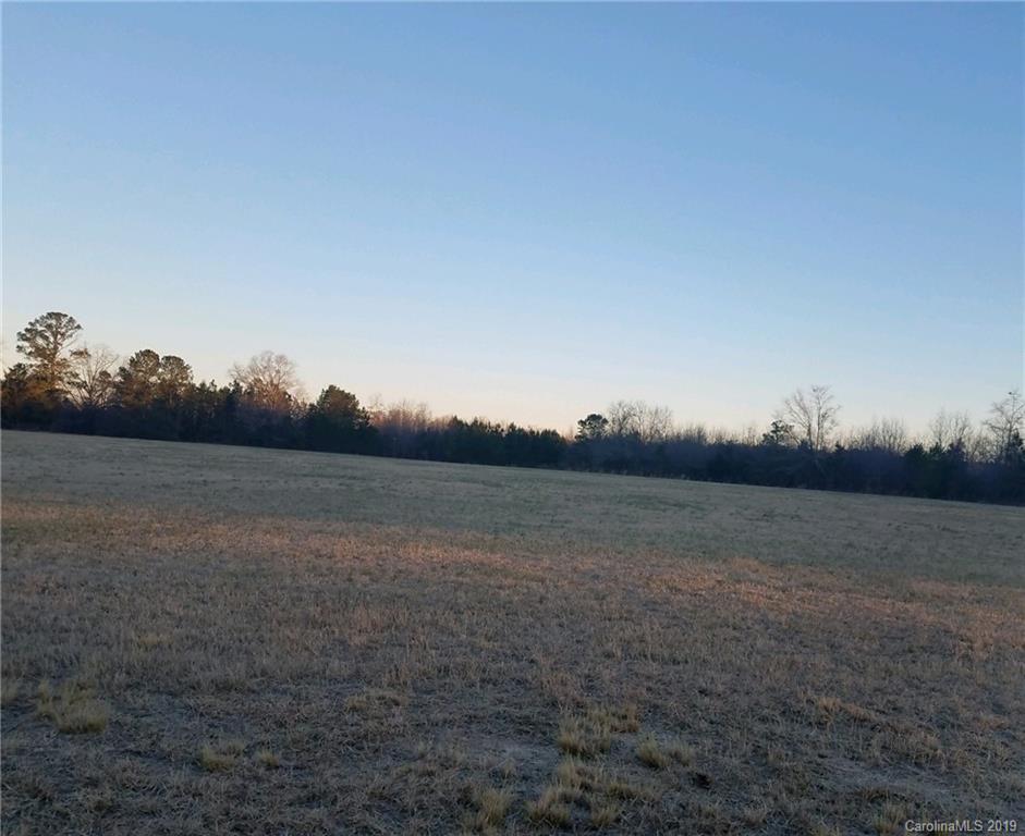 882 Woodward Mill Road Ruby, SC 29741 - Photo 2 of 3