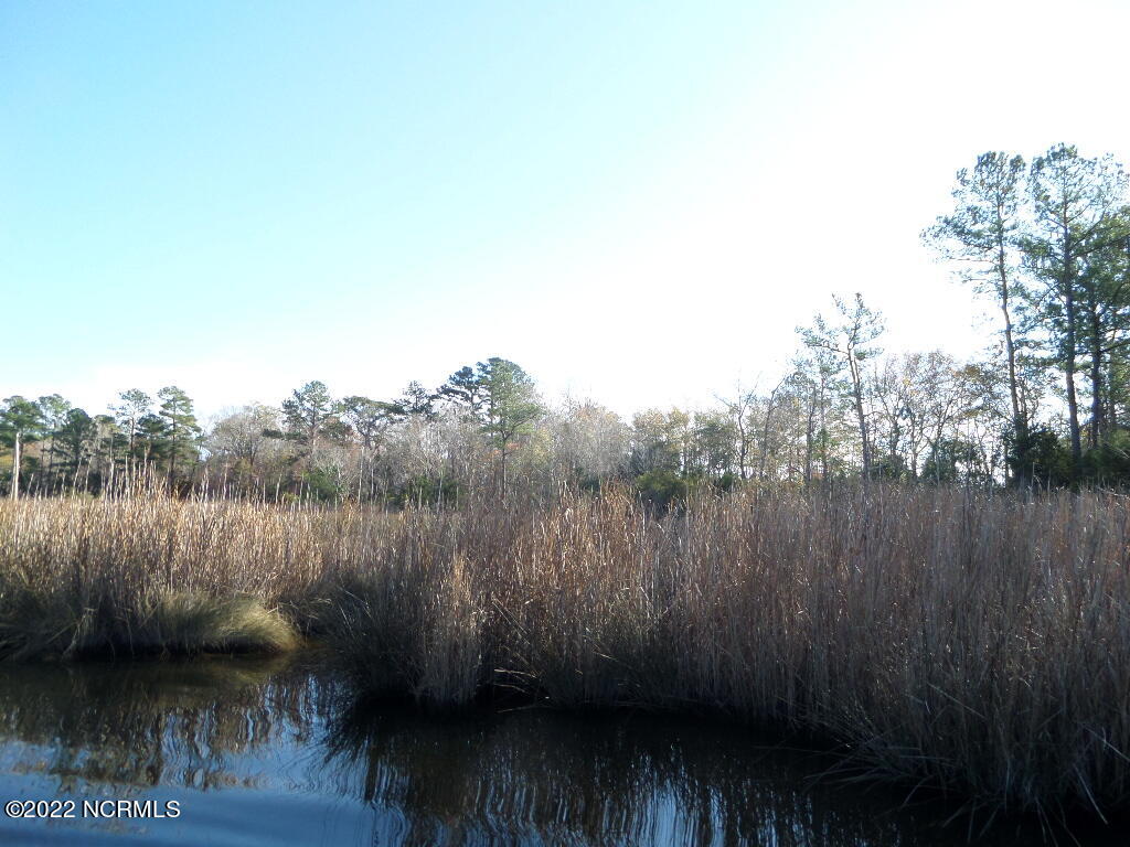 0 Alligator Creek Road Merritt, NC 28556 - Photo 24 of 27 SAM_6337
