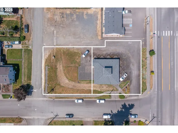 a picture of a bathroom with mirror gate and a potted plant