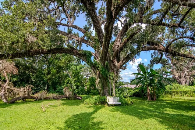 $550,000 | 128 North Montclair Avenue, Brandon, FL 33510