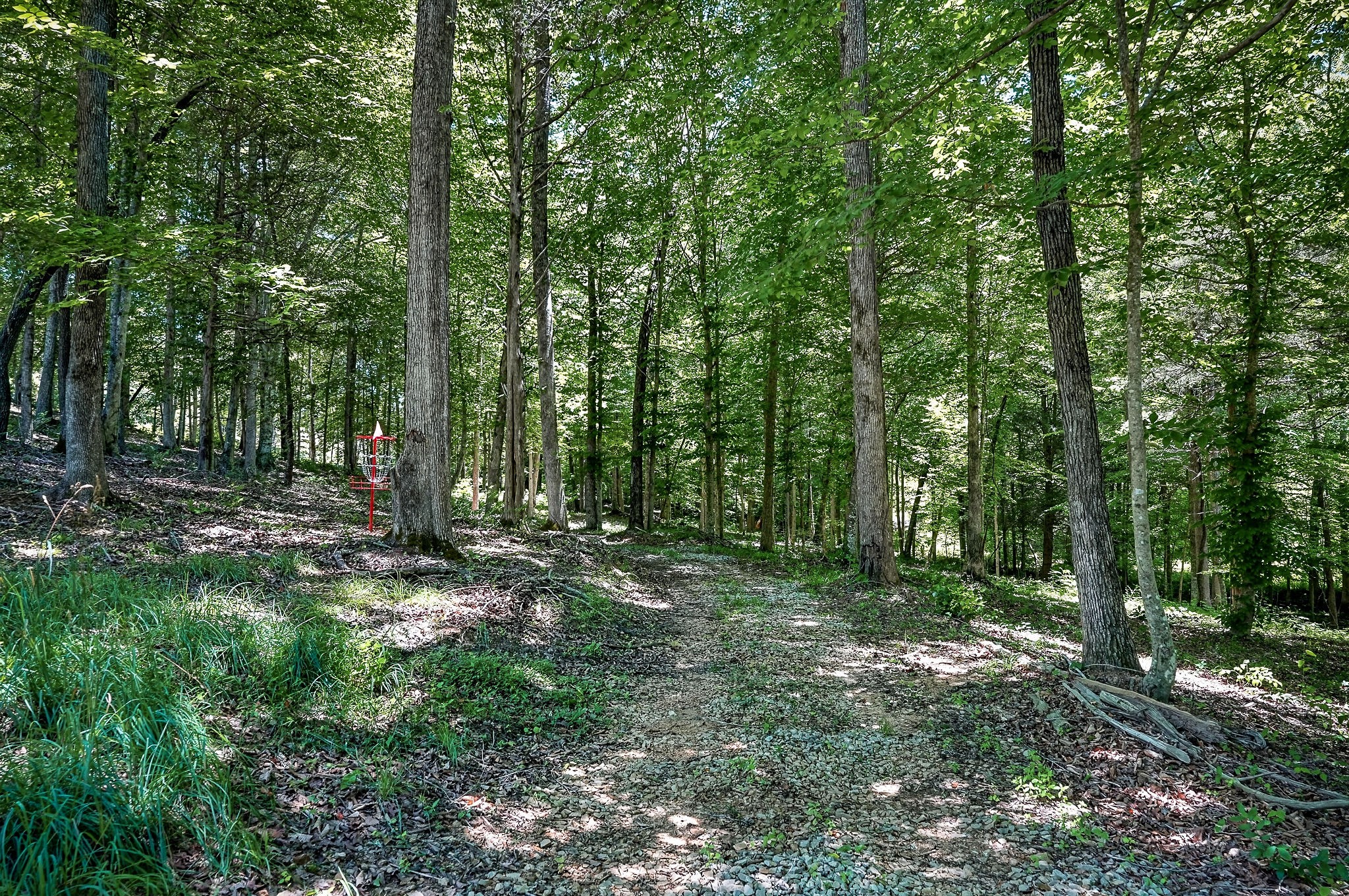 359 Allen Sells Lane Alpine, TN 38543 - Photo 35 of 71