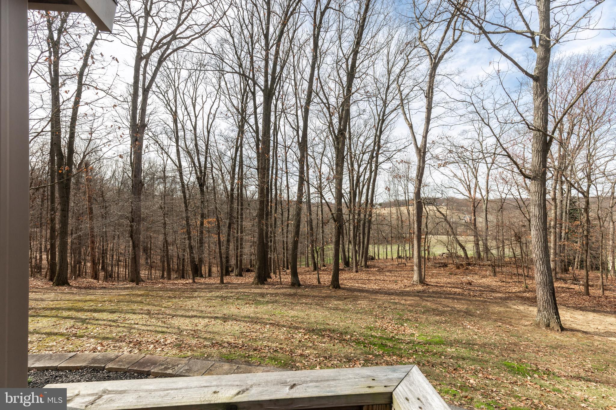 1061 Hook Road Westminster, MD 21157 - Photo 91 of 117 Backyard