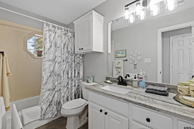 a bathroom with a granite countertop sink a toilet and a mirror