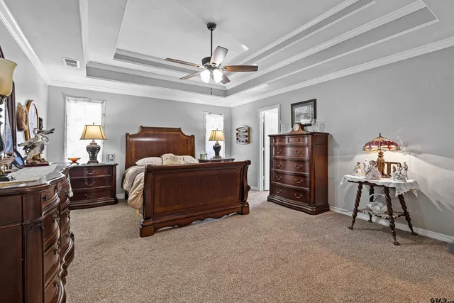 a bedroom with furniture and a ceiling fan