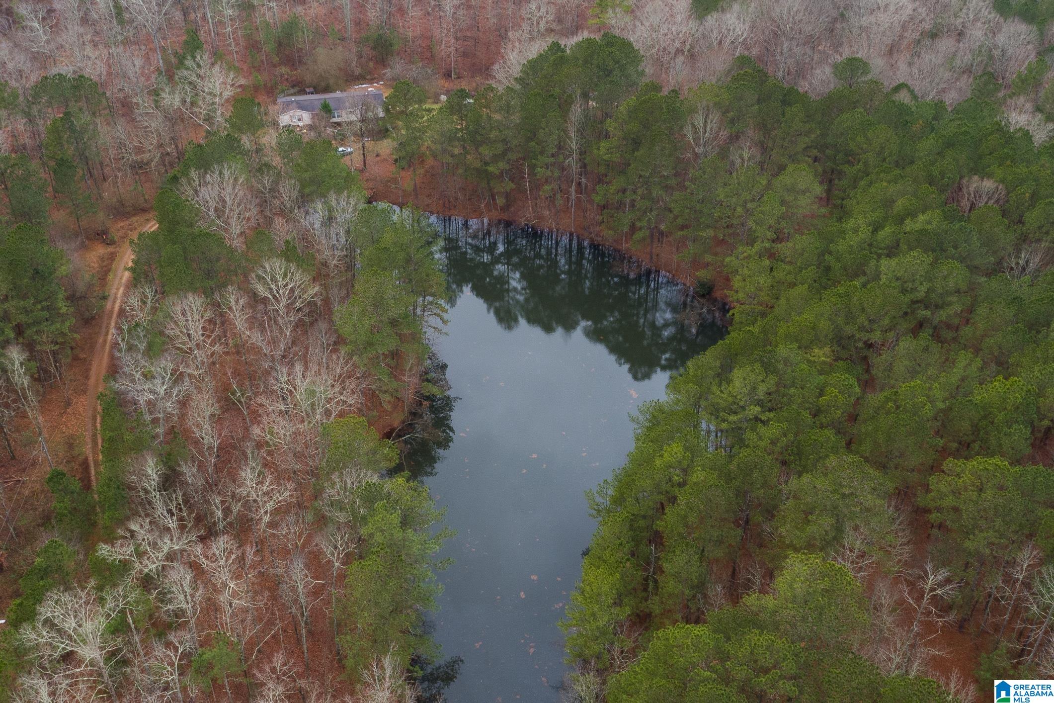 0 Deaver Walker Road Trafford, AL 35172 - Photo 5 of 28