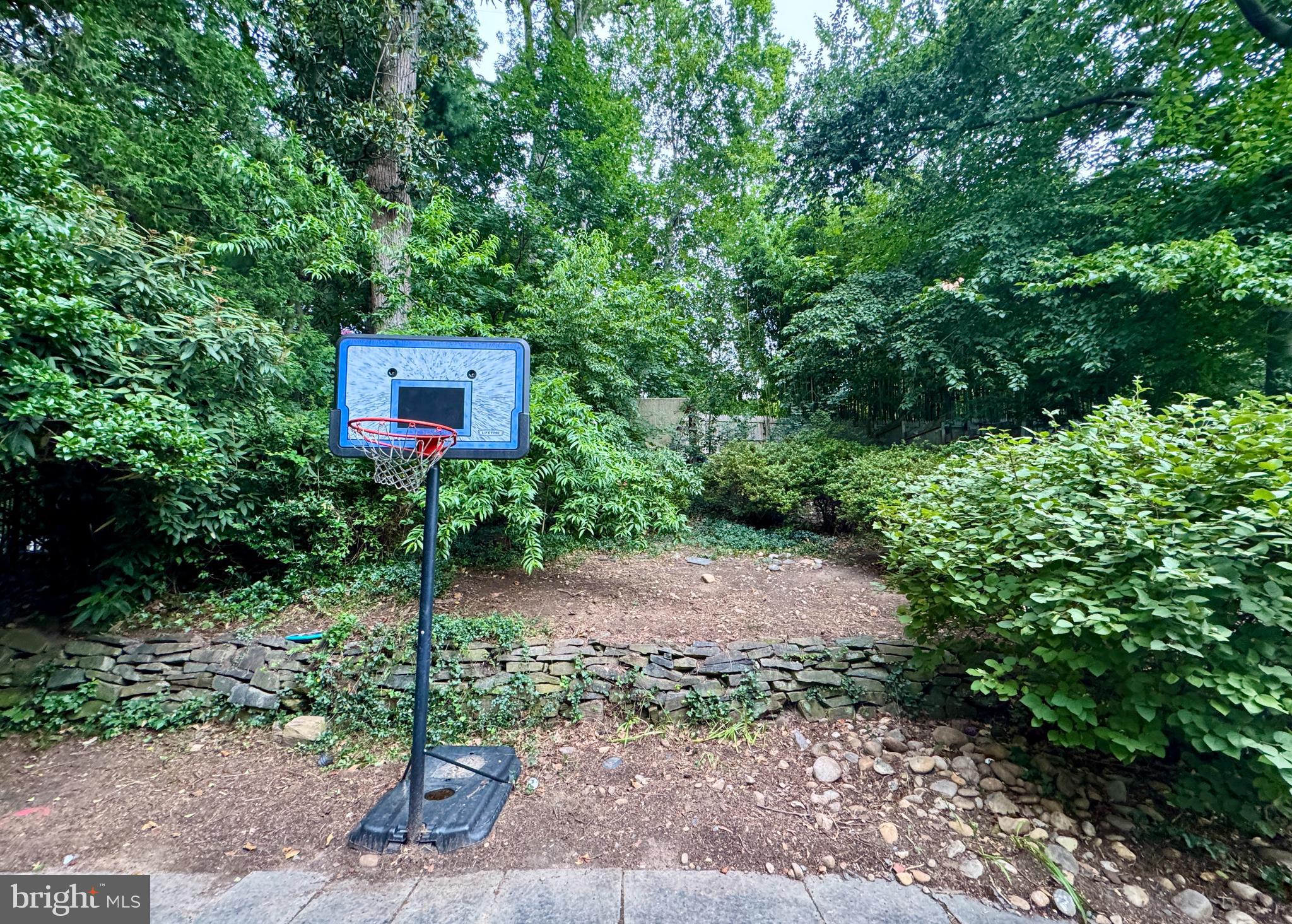 3017 Cleveland Avenue Northwest Washington, DC 20008 - Photo 31 of 36 Rear yard