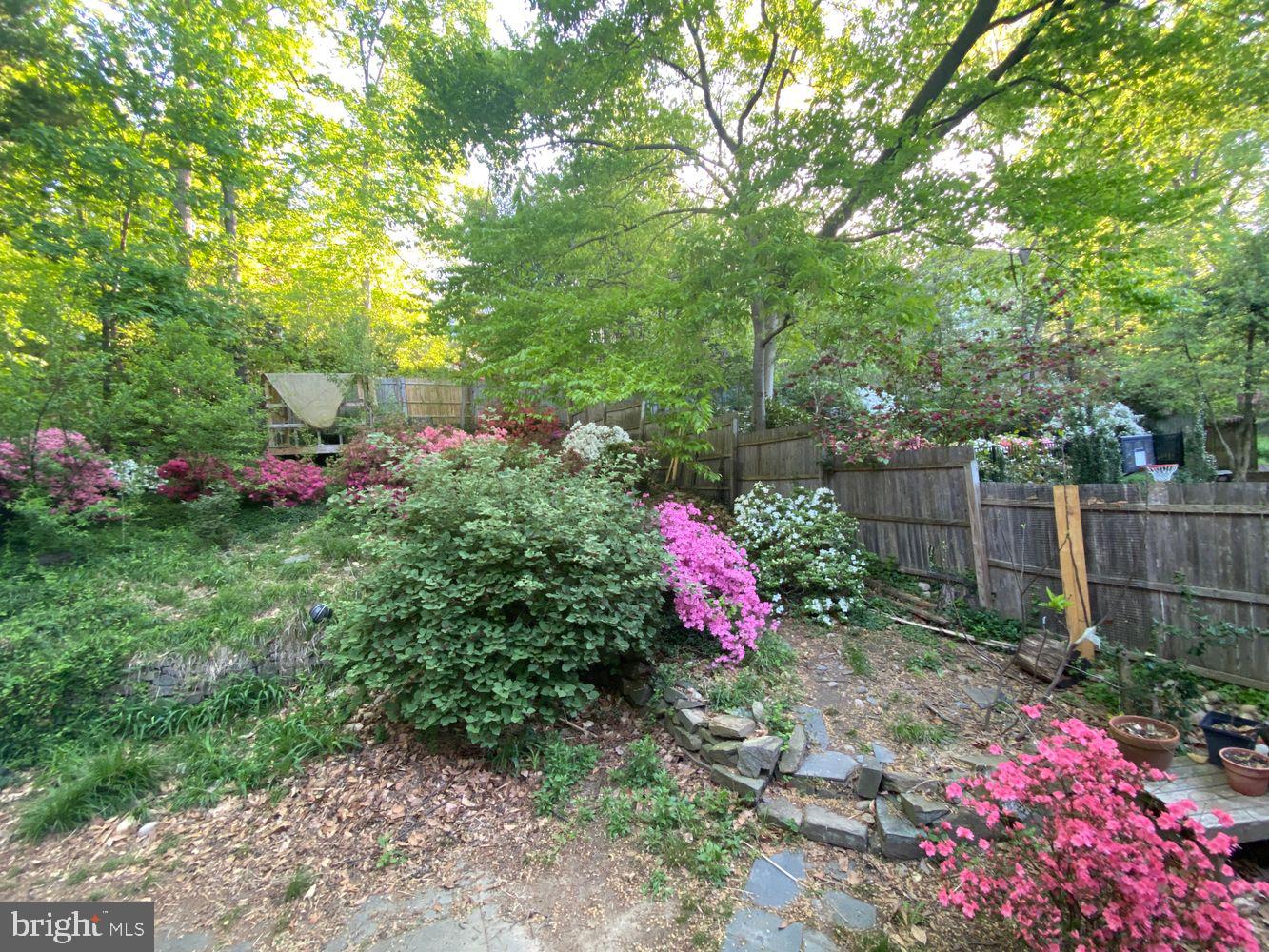 3017 Cleveland Avenue Northwest Washington, DC 20008 - Photo 33 of 36 In the spring