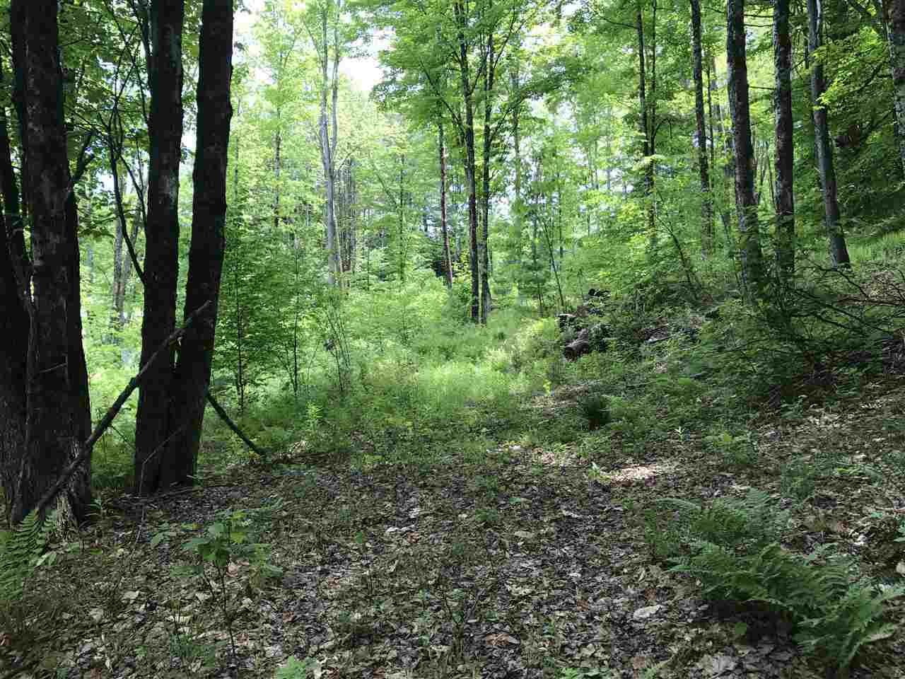 1 Quechee Road, Unit LOT 1 Hartland, VT 05048 - Photo 11 of 28