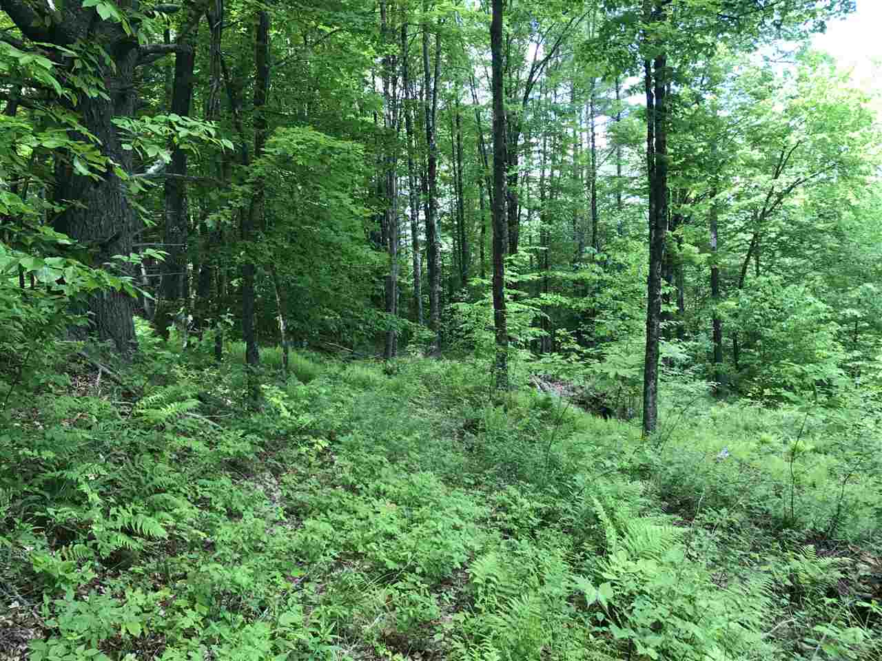 1 Quechee Road, Unit LOT 1 Hartland, VT 05048 - Photo 12 of 28
