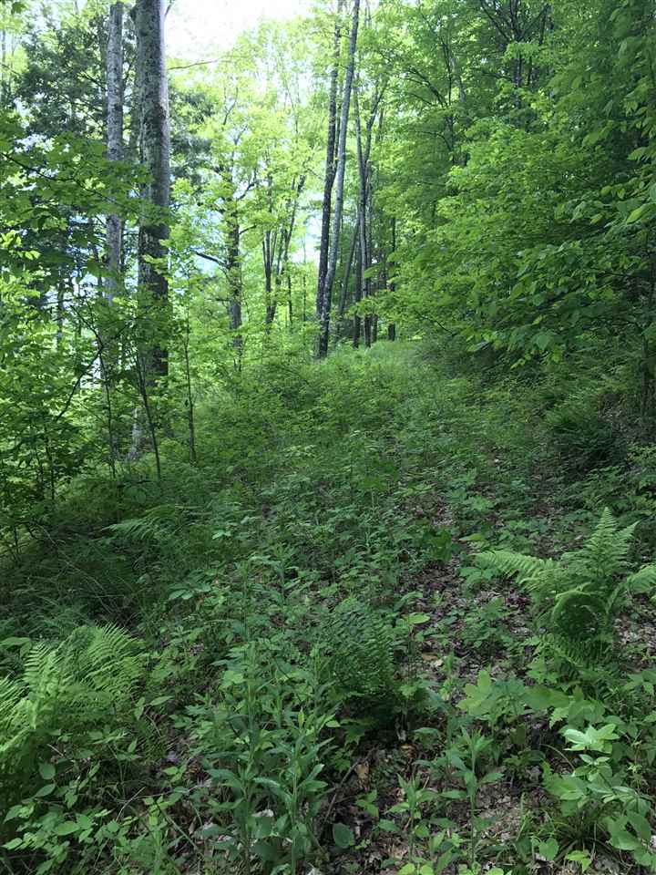 1 Quechee Road, Unit LOT 1 Hartland, VT 05048 - Photo 13 of 28