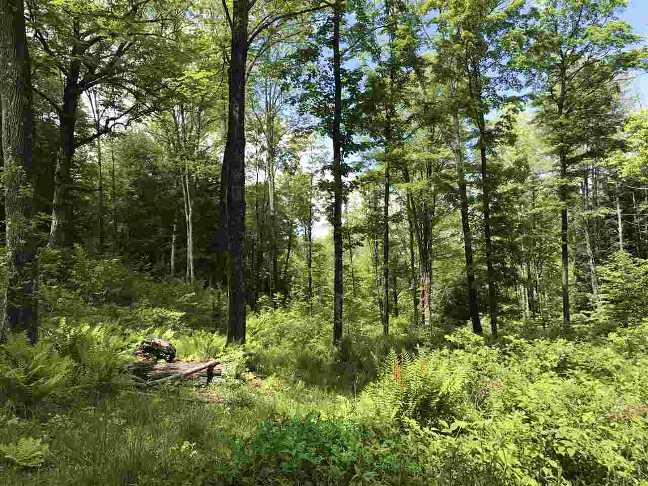 1 Quechee Road, Unit LOT 1 Hartland, VT 05048 - Photo 14 of 28