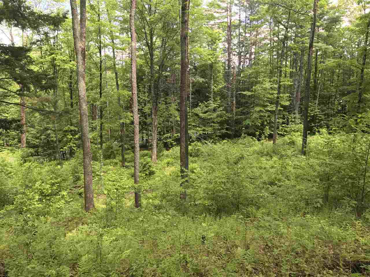 1 Quechee Road, Unit LOT 1 Hartland, VT 05048 - Photo 15 of 28