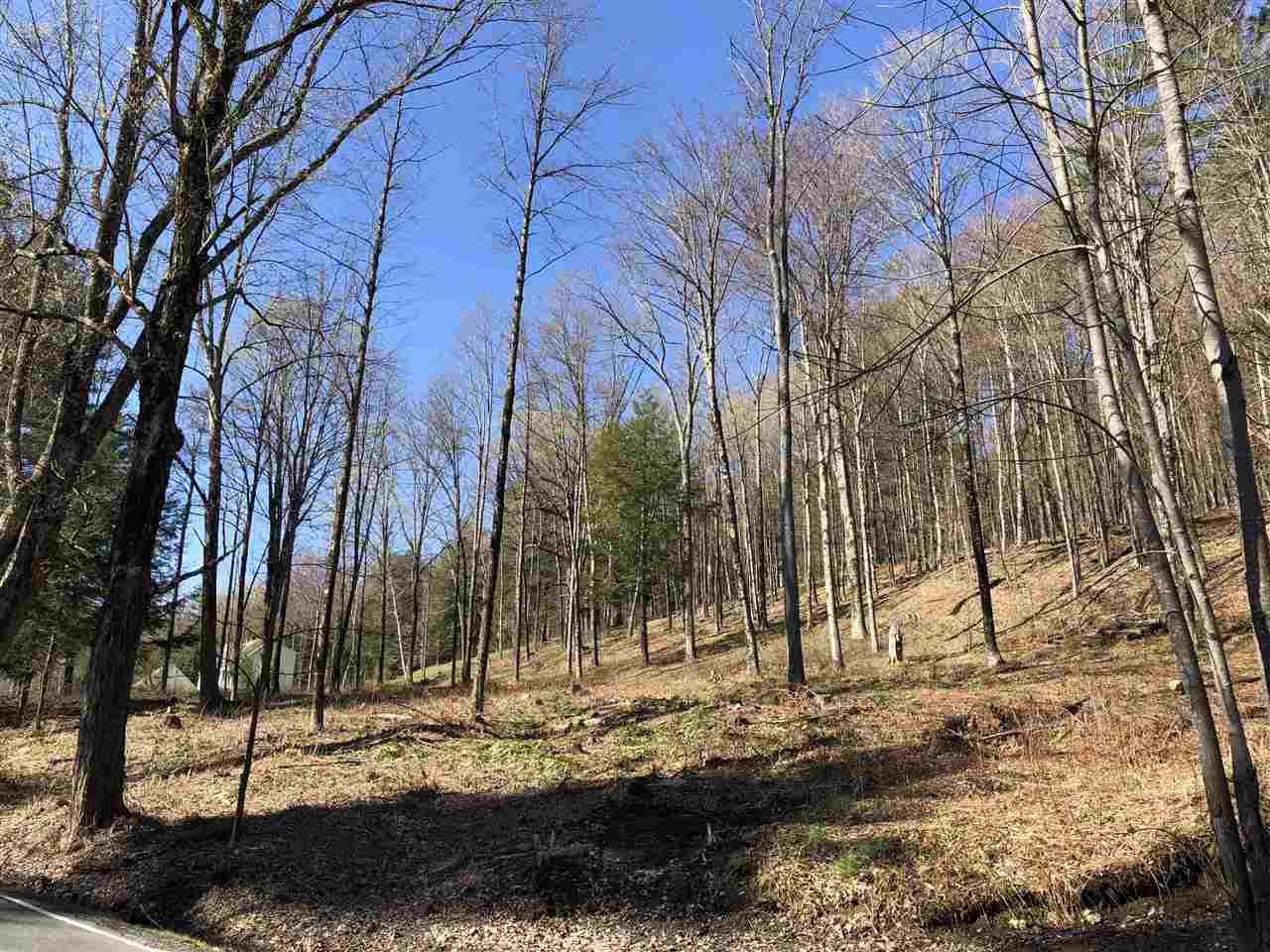 1 Quechee Road, Unit LOT 1 Hartland, VT 05048 - Photo 18 of 28