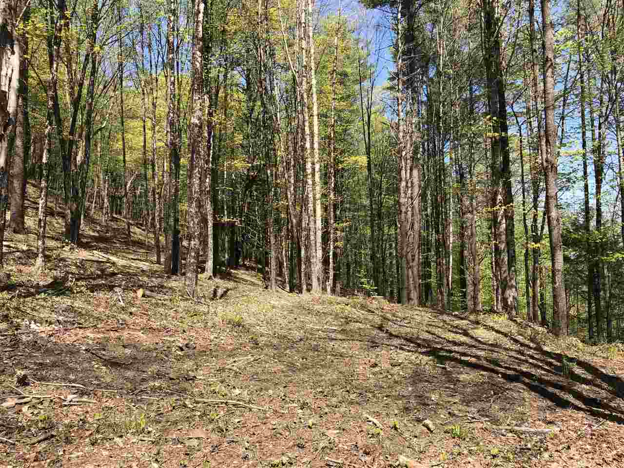1 Quechee Road, Unit LOT 1 Hartland, VT 05048 - Photo 19 of 28