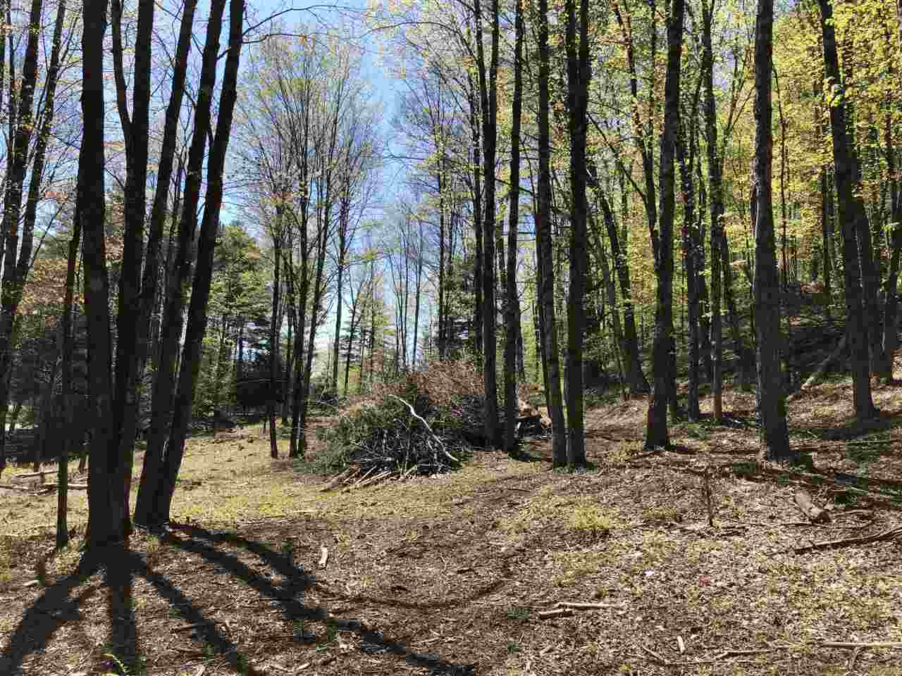 1 Quechee Road, Unit LOT 1 Hartland, VT 05048 - Photo 20 of 28