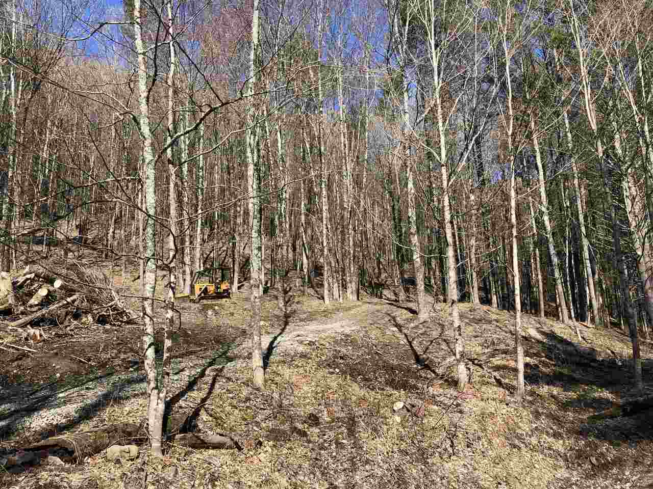 1 Quechee Road, Unit LOT 1 Hartland, VT 05048 - Photo 3 of 28