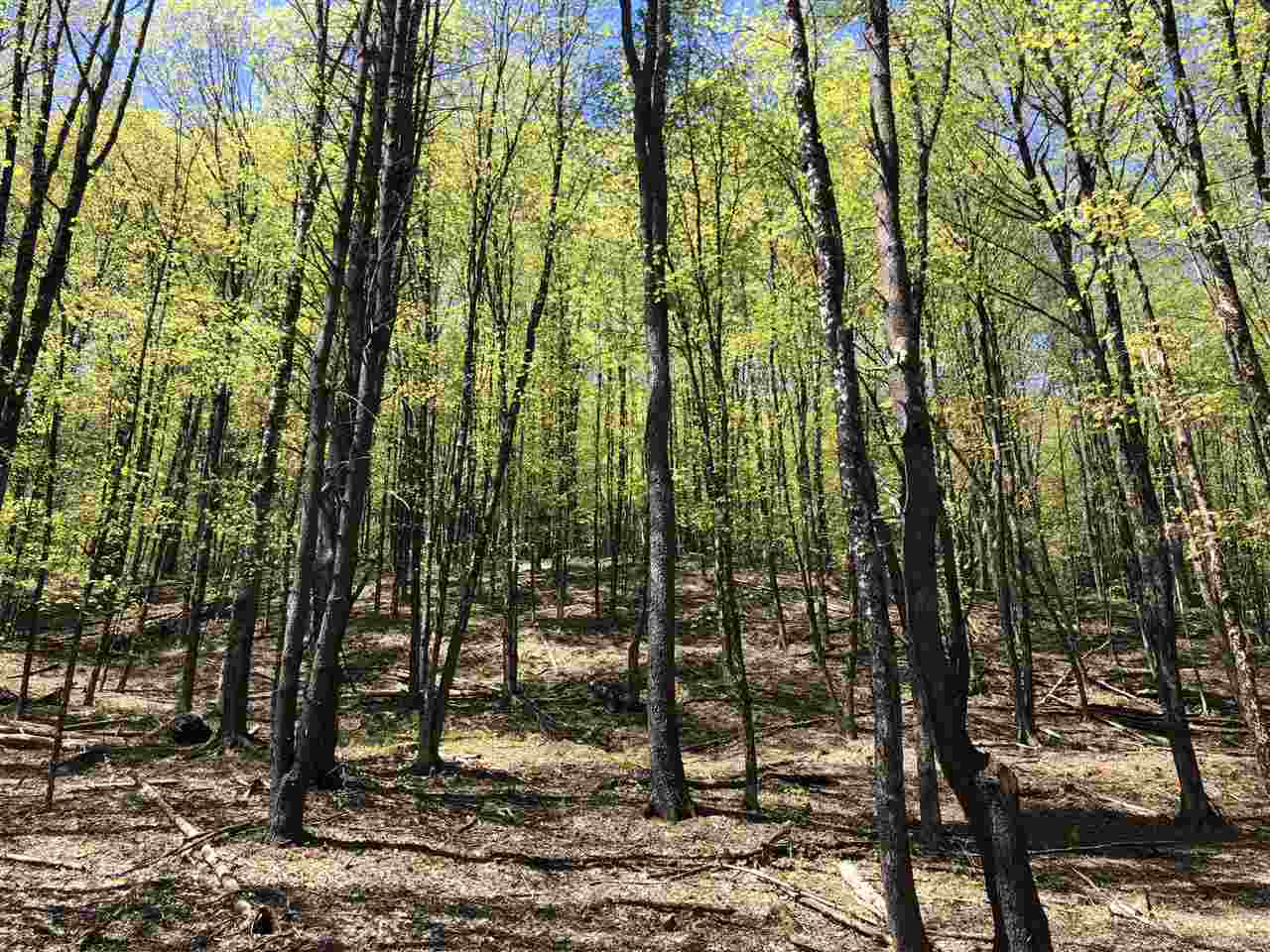 1 Quechee Road, Unit LOT 1 Hartland, VT 05048 - Photo 21 of 28