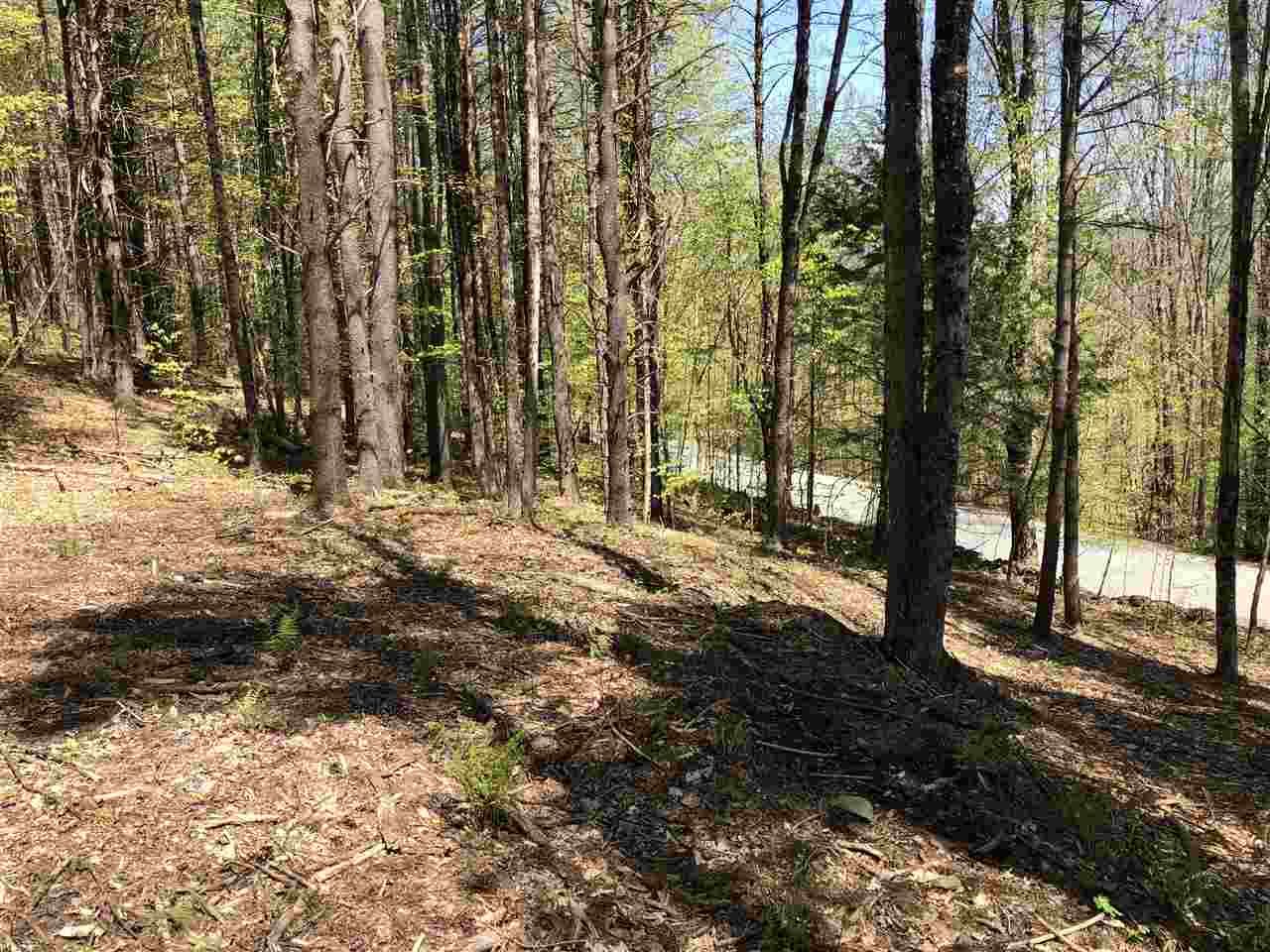 1 Quechee Road, Unit LOT 1 Hartland, VT 05048 - Photo 24 of 28