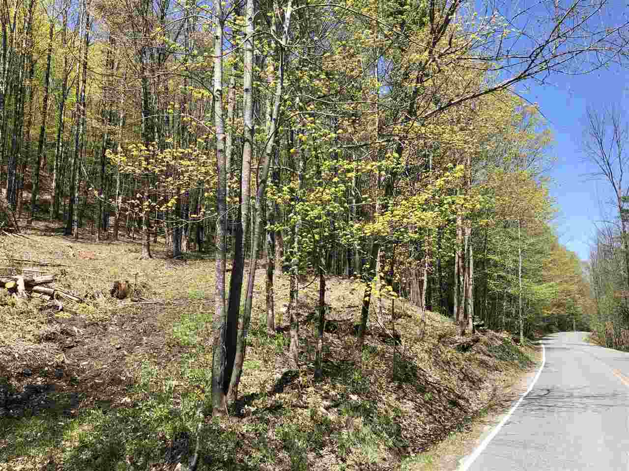 1 Quechee Road, Unit LOT 1 Hartland, VT 05048 - Photo 25 of 28