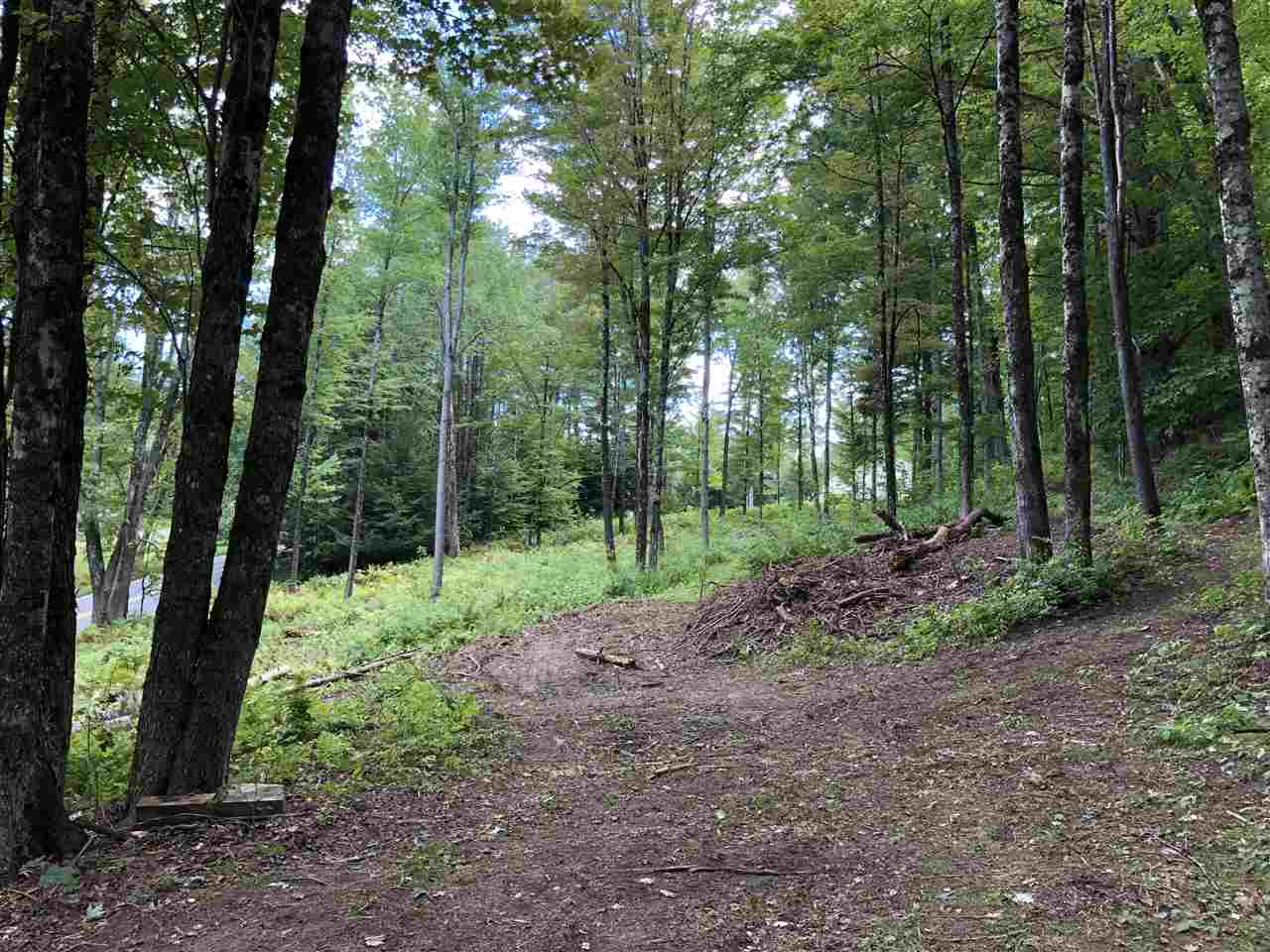 1 Quechee Road, Unit LOT 1 Hartland, VT 05048 - Photo 27 of 28