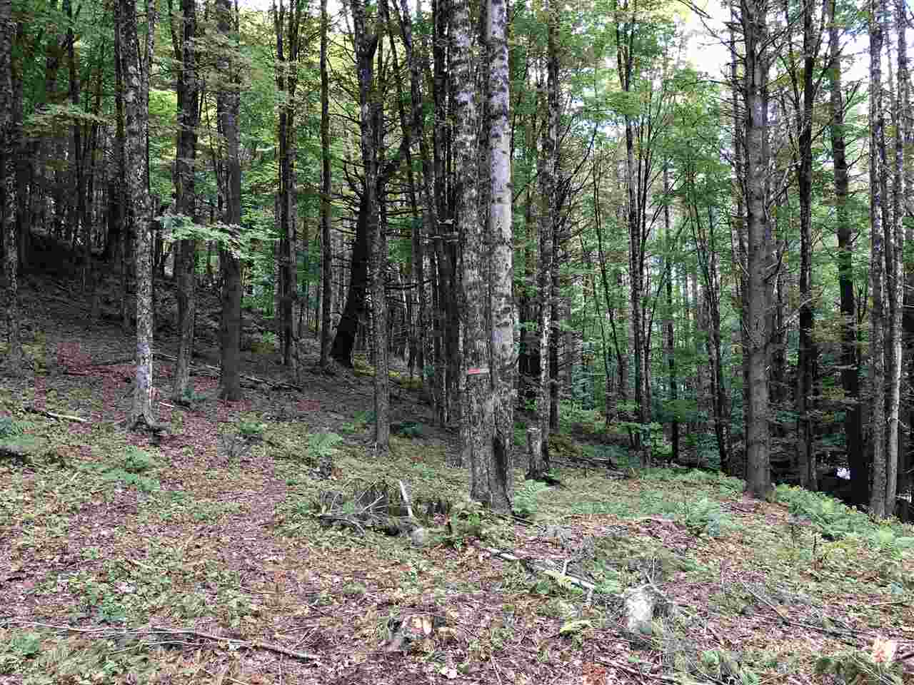 1 Quechee Road, Unit LOT 1 Hartland, VT 05048 - Photo 28 of 28