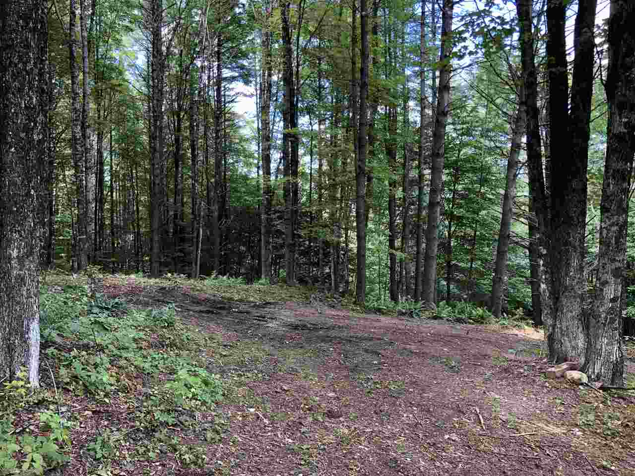 1 Quechee Road, Unit LOT 1 Hartland, VT 05048 - Photo 5 of 28