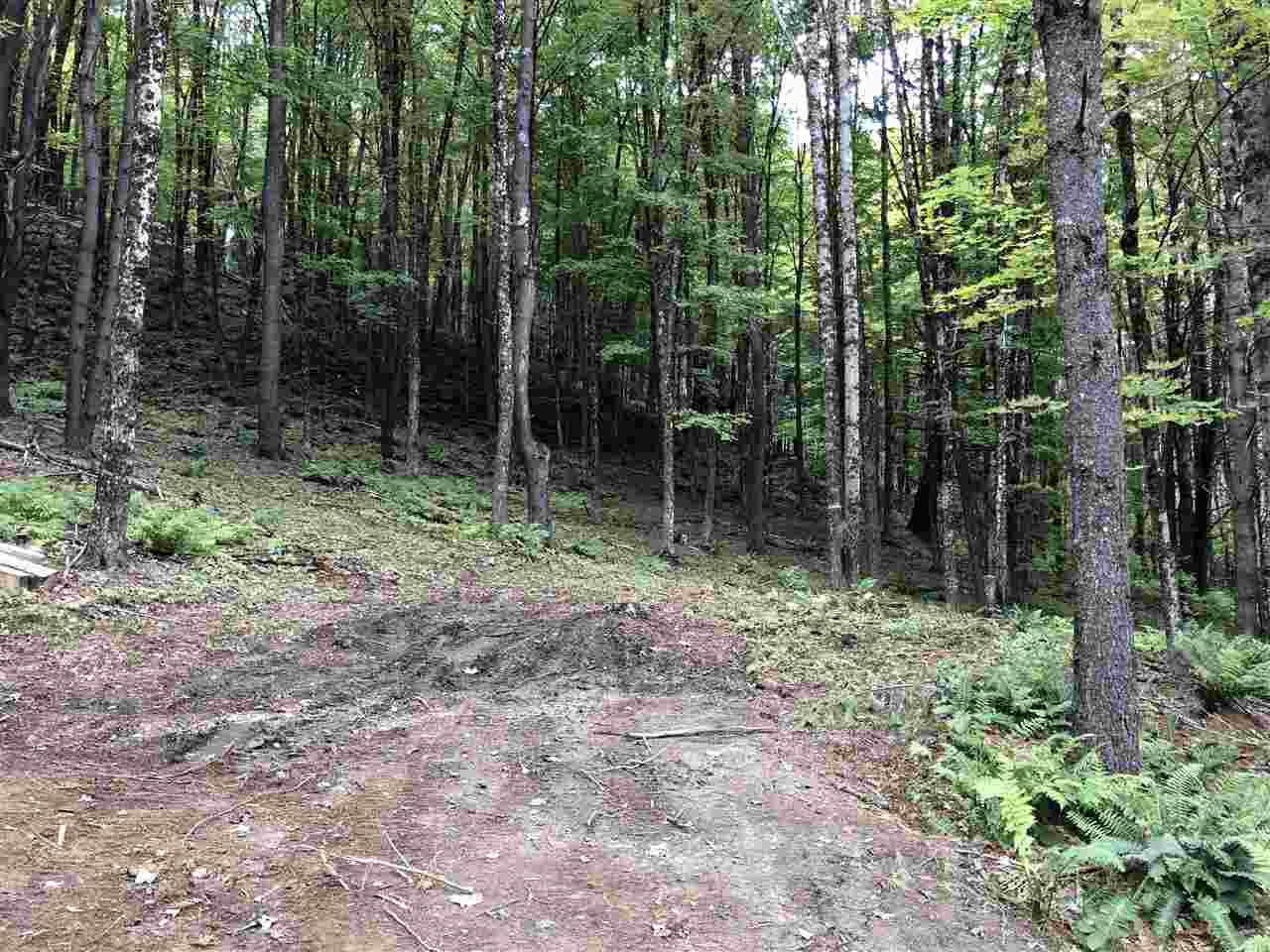 1 Quechee Road, Unit LOT 1 Hartland, VT 05048 - Photo 6 of 28