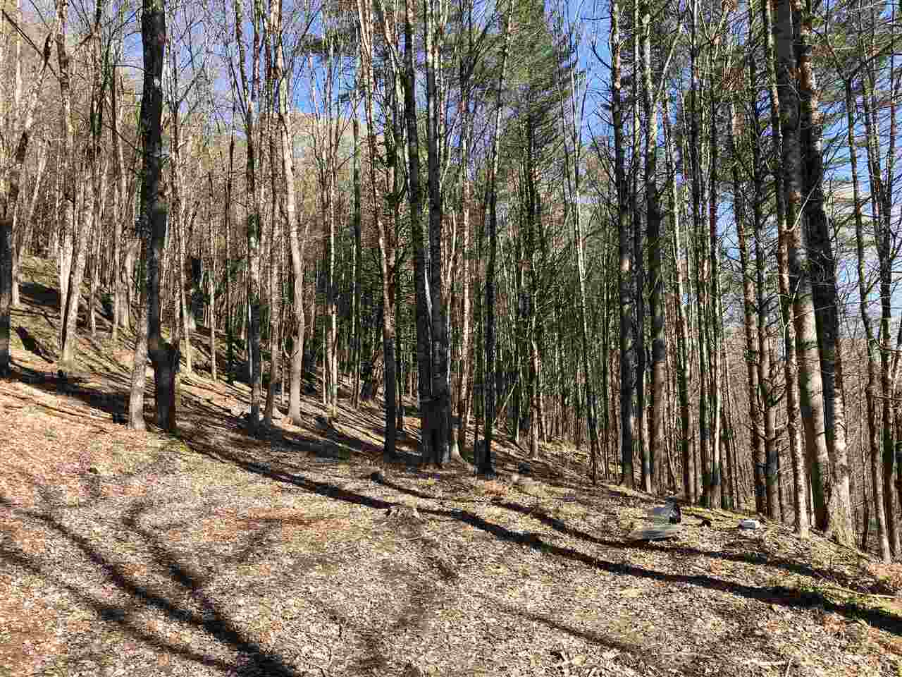 1 Quechee Road, Unit LOT 1 Hartland, VT 05048 - Photo 7 of 28