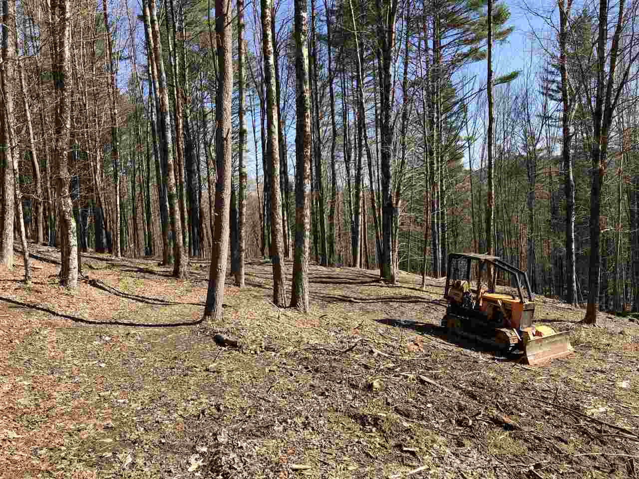 1 Quechee Road, Unit LOT 1 Hartland, VT 05048 - Photo 8 of 28
