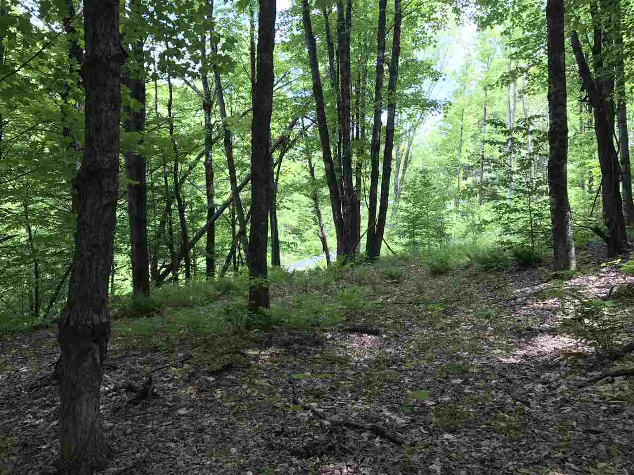 1 Quechee Road, Unit LOT 1 Hartland, VT 05048 - Photo 9 of 28