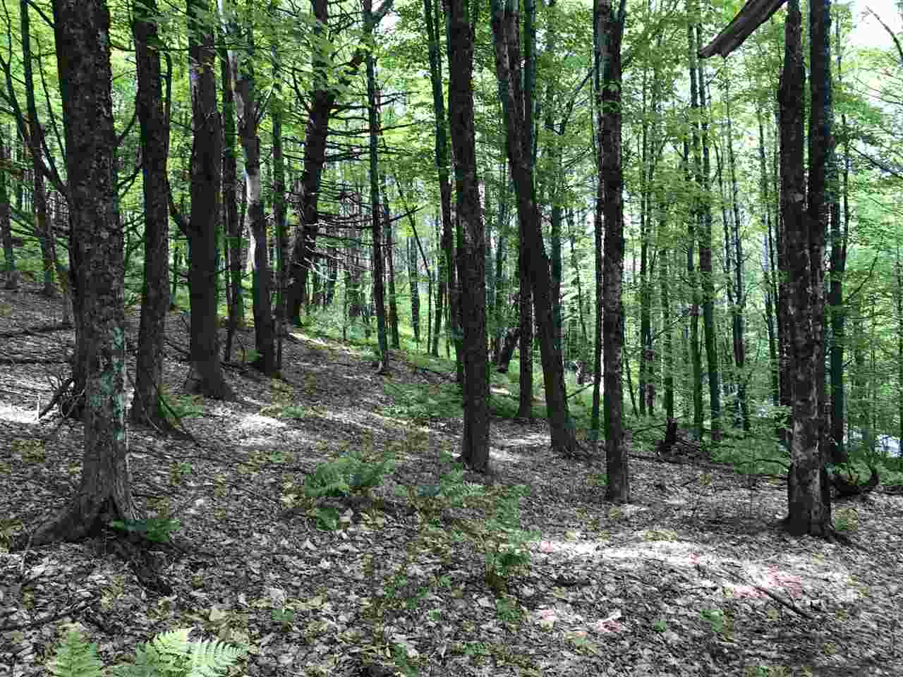 1 Quechee Road, Unit LOT 1 Hartland, VT 05048 - Photo 10 of 28