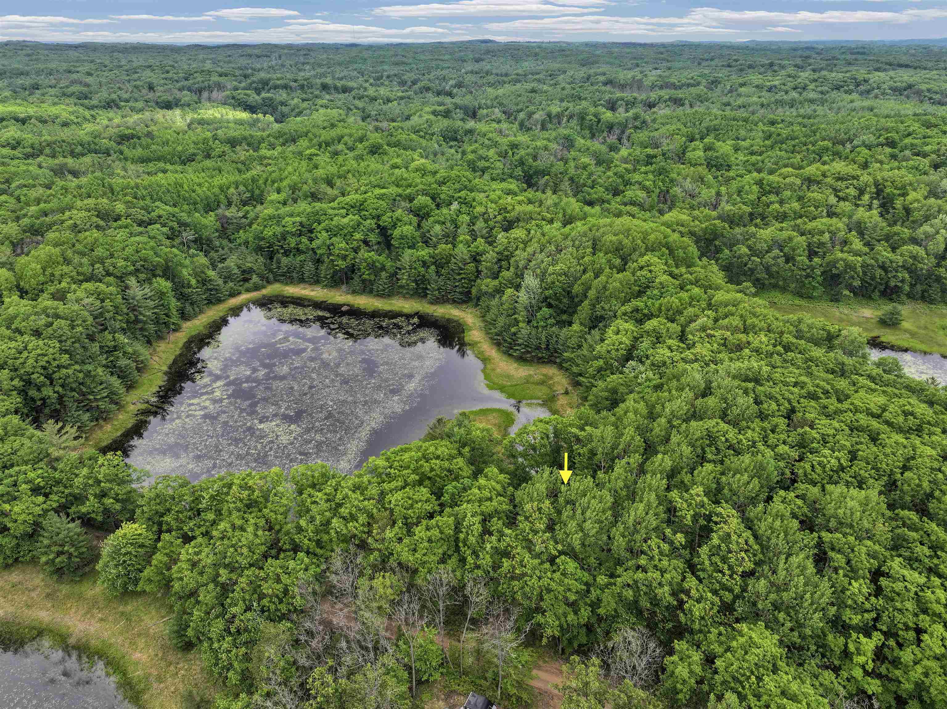 East Long Lake Road Cadillac, MI 49601 - Photo 10 of 23