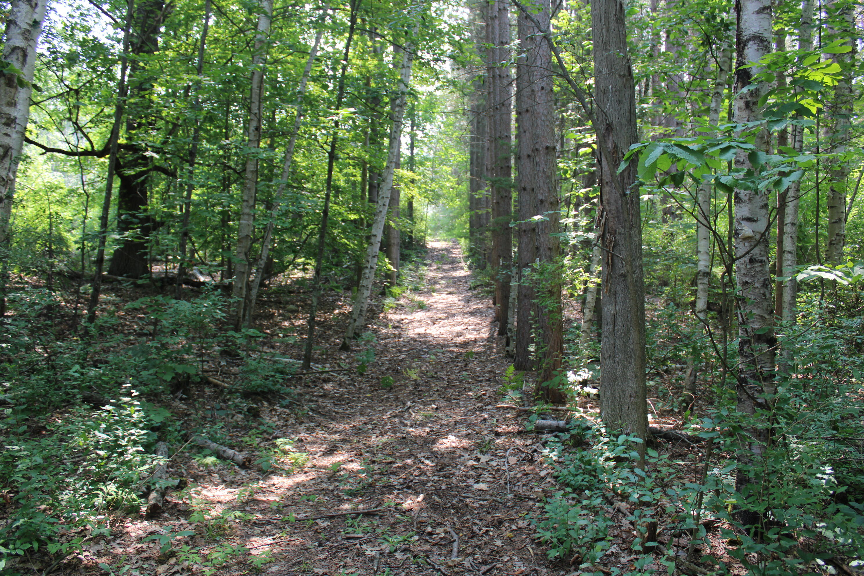 2838 West Trask Lake Road Barton City, MI 48705 - Photo 34 of 72 IMG_4821